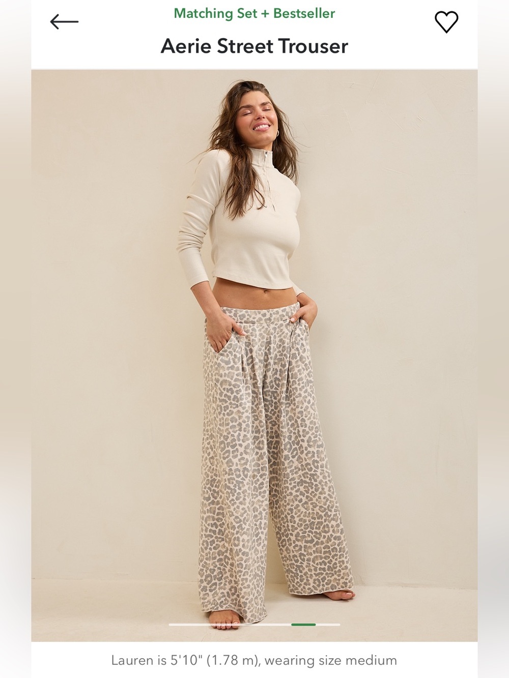 Aerie street trouser NWOT (DUSK)